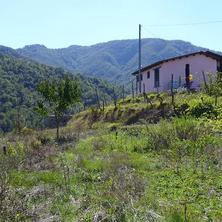 Mini Colombana Apartamento